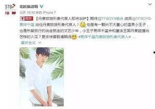 明星网红在线旅游网站,明星效应下的在线旅游网站新篇章