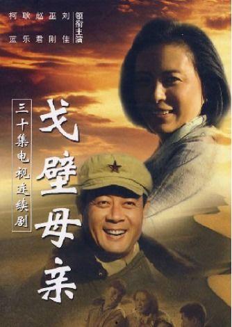 电视剧戈壁母亲,坚韧与爱的史诗