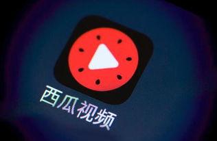 今日抖音瓜