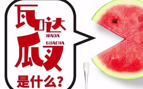 今日抖音瓜