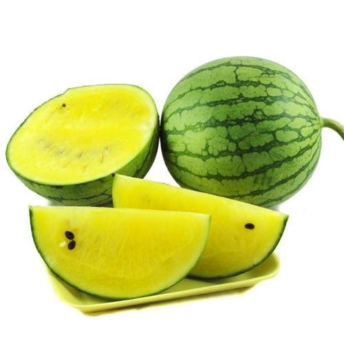 开封今日鲜瓜价格表最新,夏日炎炎，瓜果飘香