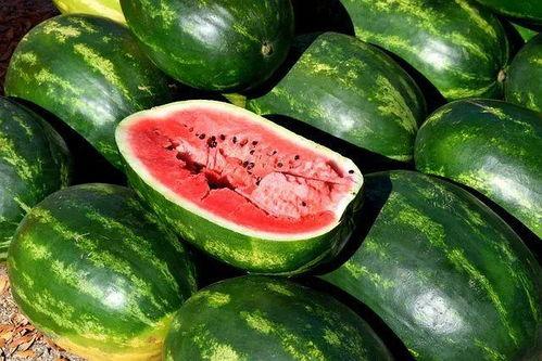 开封今日鲜瓜价格表最新,夏日炎炎，瓜果飘香