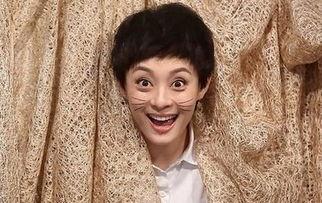 亿万身家明星网红是谁,揭秘网络红人的财富传奇