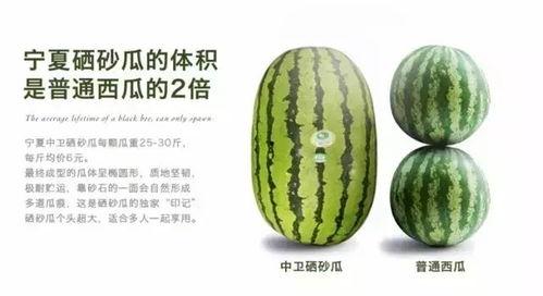 宁夏硒砂瓜今日行情,今日行情火爆，品质优良备受青睐”