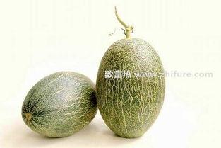 江门市场哈密瓜今日行情,今日价格走势及市场动态