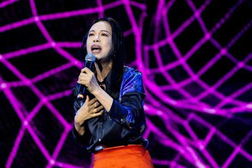 音乐节明星网红排名,盘点年度最具人气音乐节明星网红