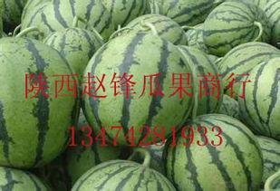 今日海南哈密瓜批发价格,市场供需两旺